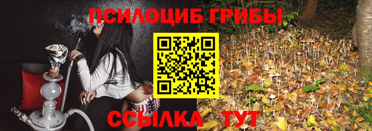 Галлюциногенные грибы MAGIC MUSHROOMS Гусь-Хрустальный