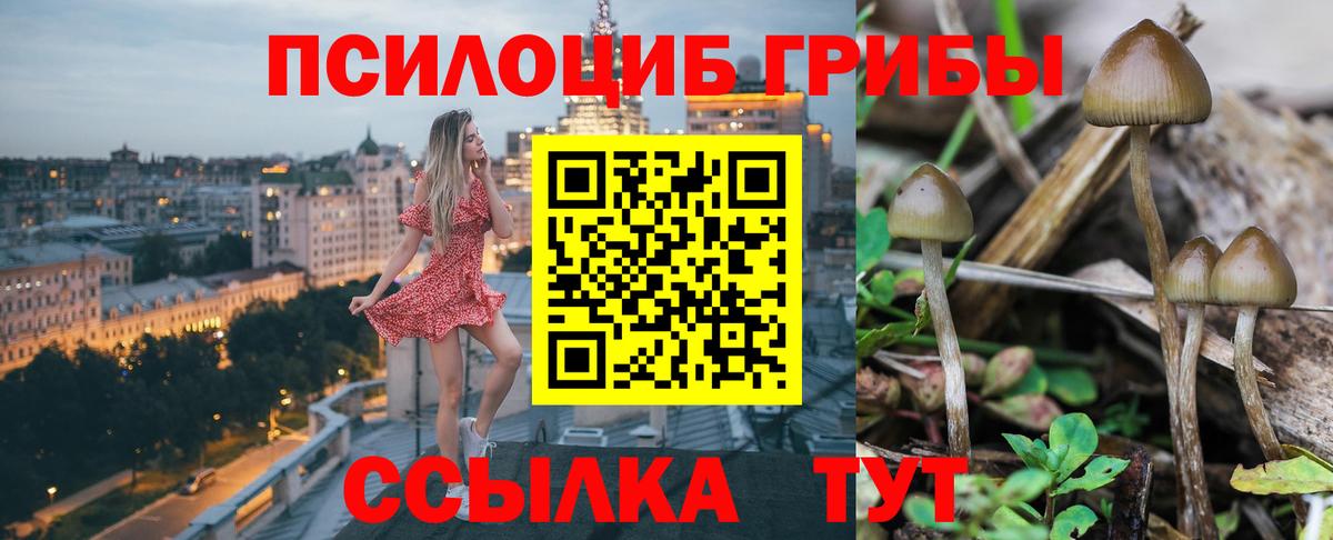 дарнет шоп  Галлюциногенные грибы MAGIC MUSHROOMS  Псилоцибиновые грибы мухоморы  Вход с VPN  Гусь-Хрустальный 